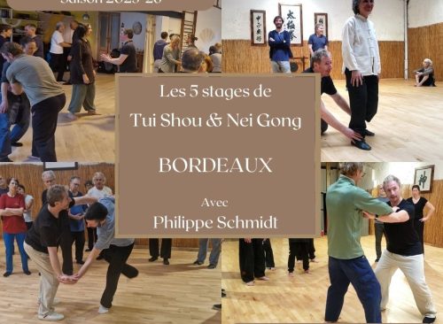 Stages de Tui Shou & Nei Gong  à Bordeaux avec Philippe Schmidt - saison 2025-26