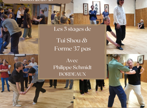 Stages de Tui Shou & Nei Gong  à Bordeaux avec Philippe Schmidt - saison 2025-26